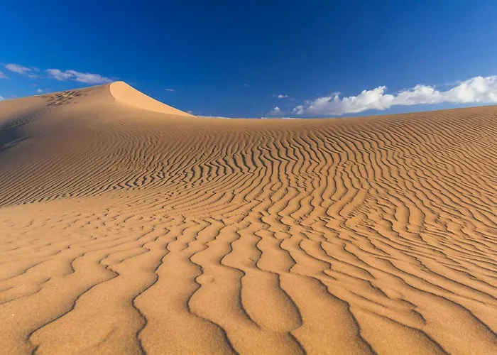 酒店 Boutique Tao Caleta Mar